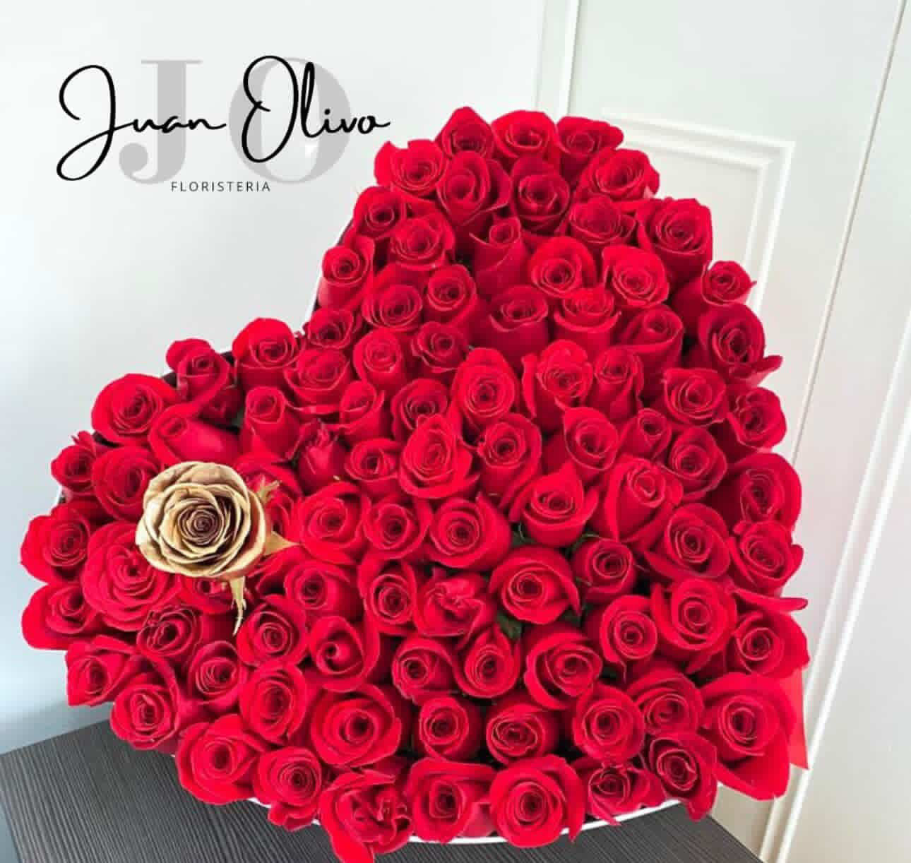 Corazón 50 rosas