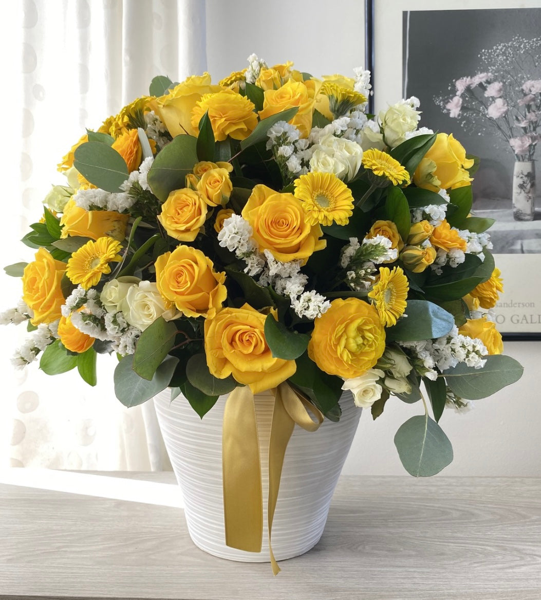 Encanto Amarillo Premium