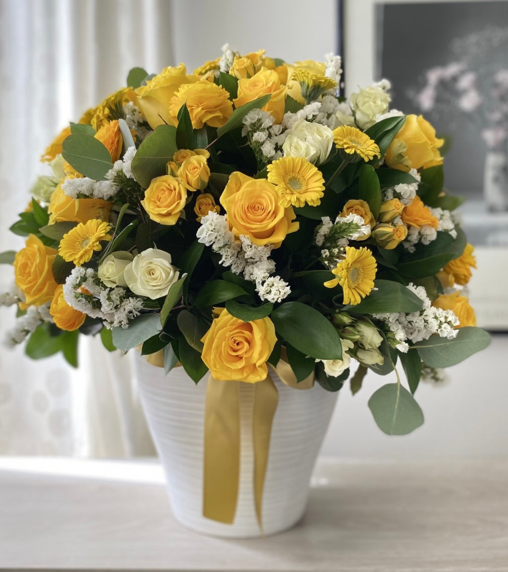 Encanto Amarillo Premium