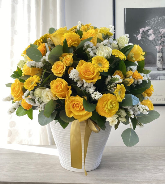 Encanto Amarillo Premium